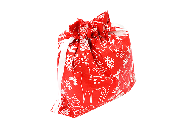 Drawstring bags - TCS6-16